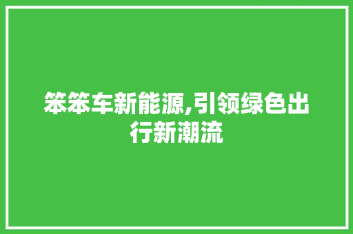 笨笨车新能源,引领绿色出行新潮流