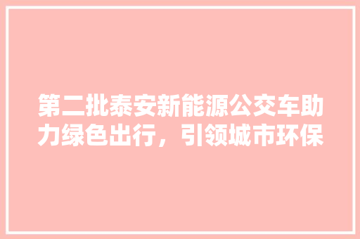 第二批泰安新能源公交车助力绿色出行，引领城市环保新风尚