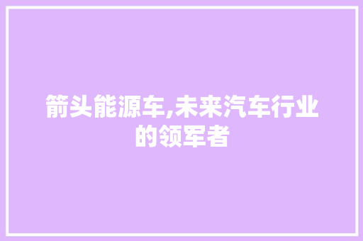 箭头能源车,未来汽车行业的领军者
