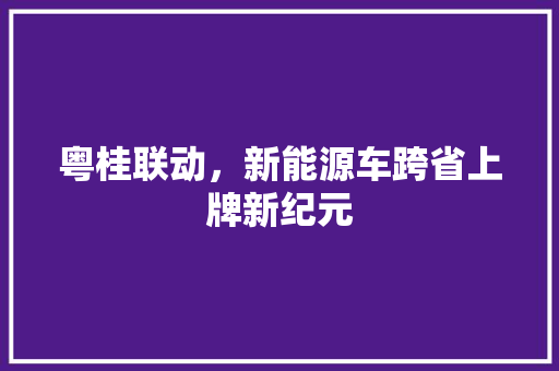 粤桂联动，新能源车跨省上牌新纪元