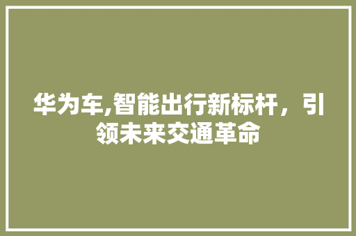 华为车,智能出行新标杆，引领未来交通革命