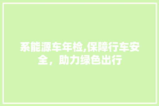 系能源车年检,保障行车安全，助力绿色出行