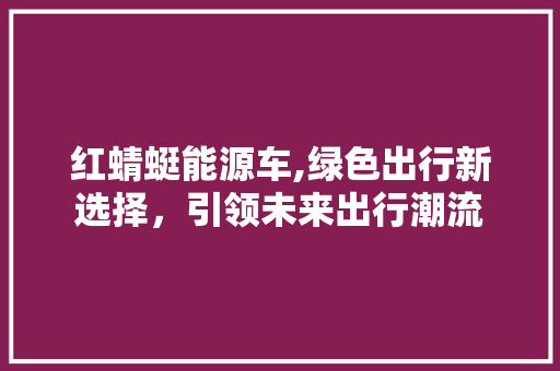 红蜻蜓能源车,绿色出行新选择，引领未来出行潮流