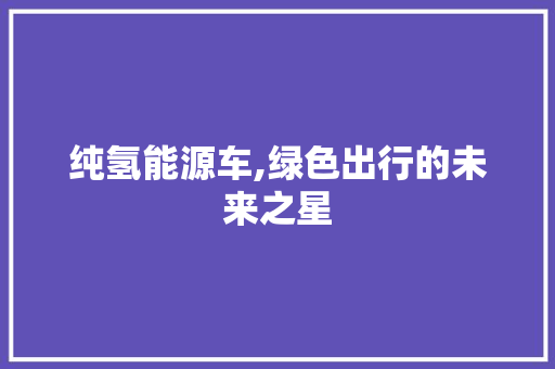 纯氢能源车,绿色出行的未来之星