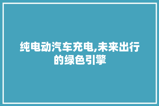 纯电动汽车充电,未来出行的绿色引擎