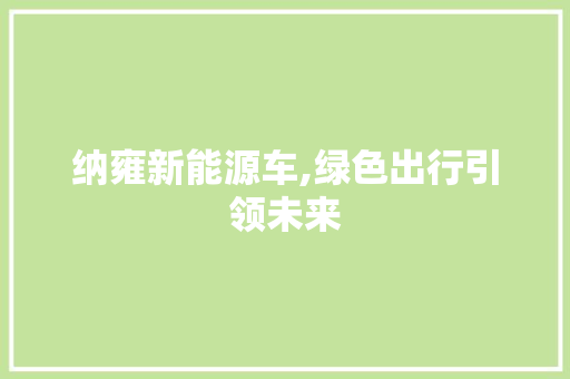 纳雍新能源车,绿色出行引领未来