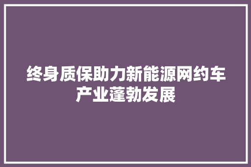 终身质保助力新能源网约车产业蓬勃发展