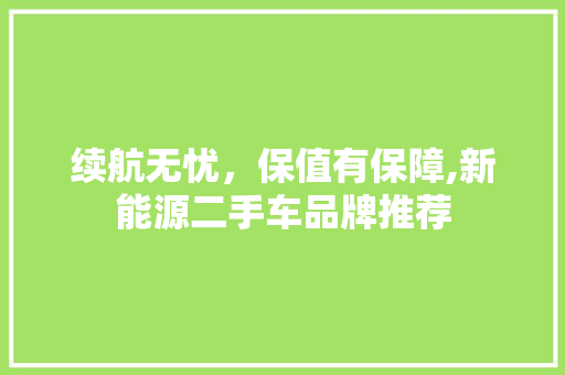续航无忧，保值有保障,新能源二手车品牌推荐