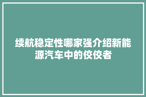 续航稳定性哪家强介绍新能源汽车中的佼佼者
