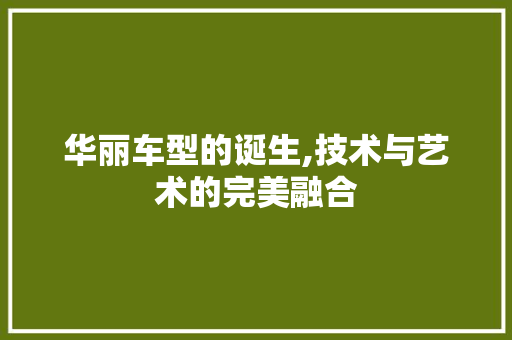 华丽车型的诞生,技术与艺术的完美融合 底盘配件