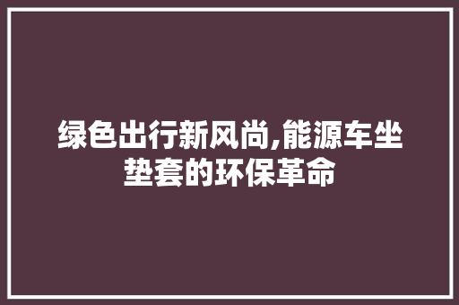 绿色出行新风尚,能源车坐垫套的环保革命