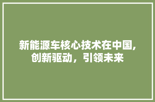 新能源车核心技术在中国,创新驱动，引领未来