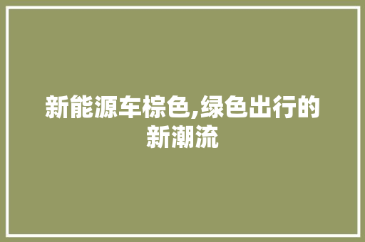 新能源车棕色,绿色出行的新潮流