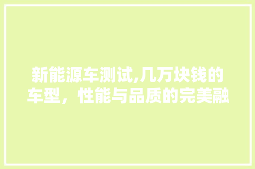 新能源车测试,几万块钱的车型，性能与品质的完美融合