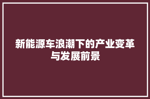 新能源车浪潮下的产业变革与发展前景
