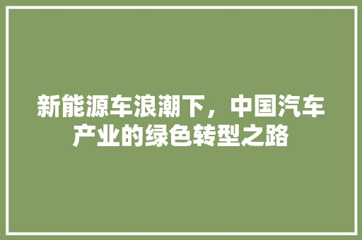 新能源车浪潮下，中国汽车产业的绿色转型之路