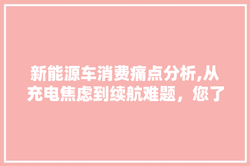 新能源车消费痛点分析,从充电焦虑到续航难题，您了解多少