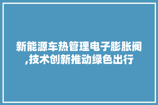 新能源车热管理电子膨胀阀,技术创新推动绿色出行