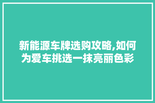 新能源车牌选购攻略,如何为爱车挑选一抹亮丽色彩