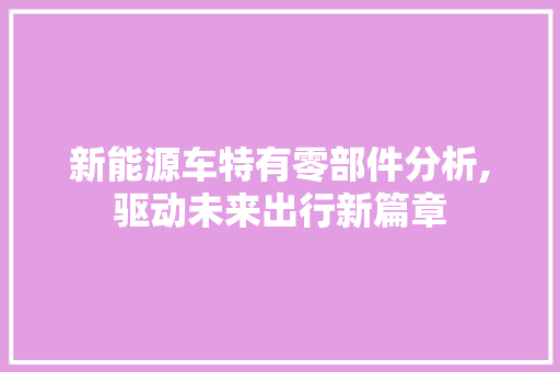 新能源车特有零部件分析,驱动未来出行新篇章