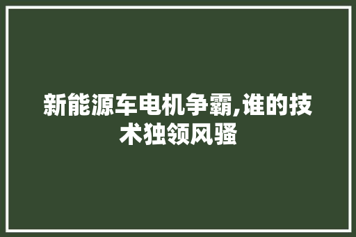 新能源车电机争霸,谁的技术独领风骚