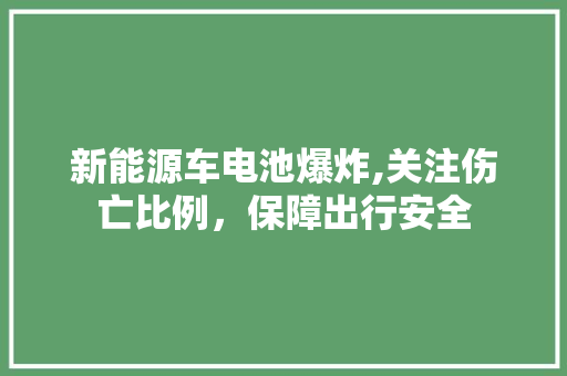 新能源车电池爆炸,关注伤亡比例，保障出行安全
