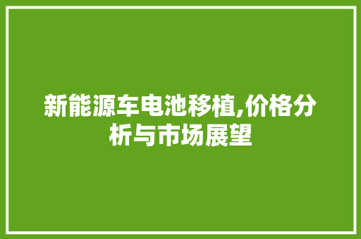新能源车电池移植,价格分析与市场展望