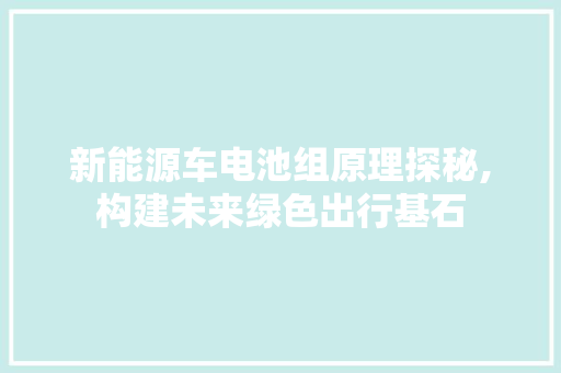 新能源车电池组原理探秘,构建未来绿色出行基石