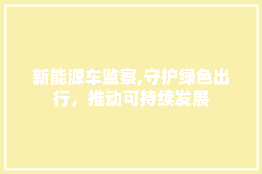 新能源车监察,守护绿色出行，推动可持续发展