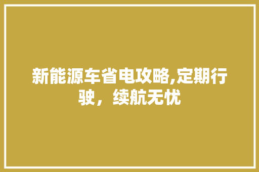 新能源车省电攻略,定期行驶，续航无忧