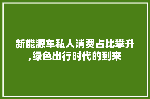 新能源车私人消费占比攀升,绿色出行时代的到来
