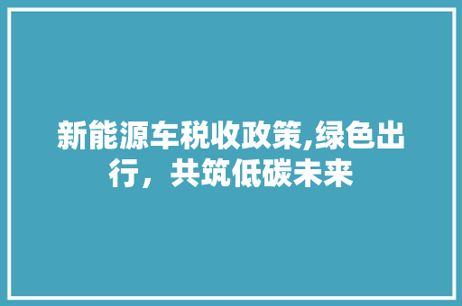 新能源车税收政策,绿色出行，共筑低碳未来
