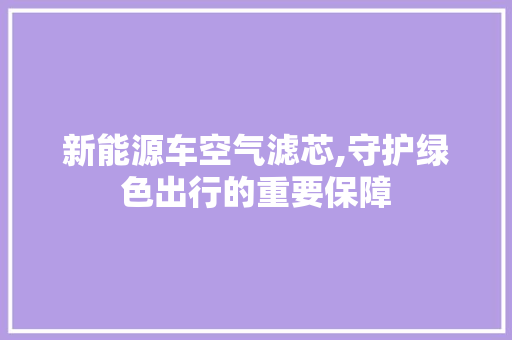 新能源车空气滤芯,守护绿色出行的重要保障