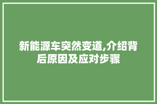 新能源车突然变道,介绍背后原因及应对步骤