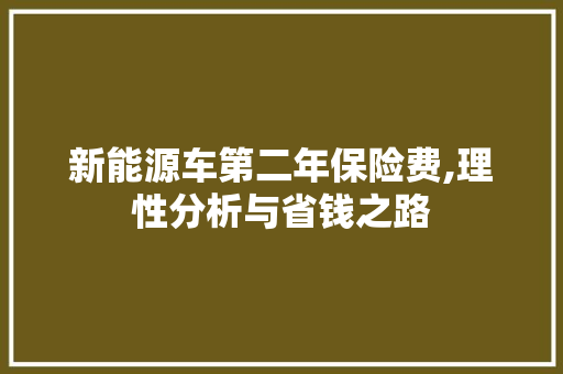 新能源车第二年保险费,理性分析与省钱之路