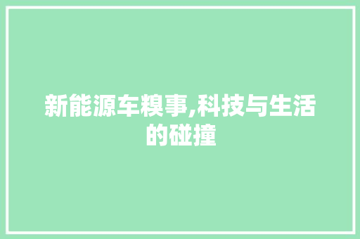 新能源车糗事,科技与生活的碰撞