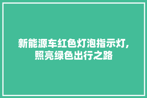 新能源车红色灯泡指示灯,照亮绿色出行之路