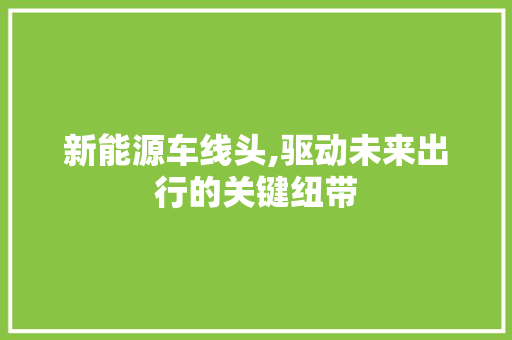 新能源车线头,驱动未来出行的关键纽带
