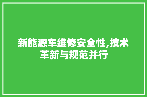 新能源车维修安全性,技术革新与规范并行