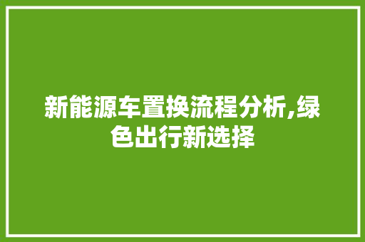 新能源车置换流程分析,绿色出行新选择
