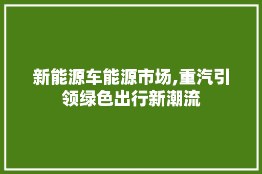 新能源车能源市场,重汽引领绿色出行新潮流