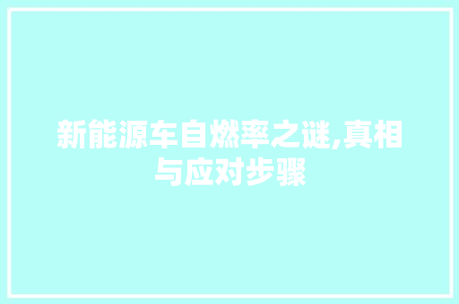 新能源车自燃率之谜,真相与应对步骤