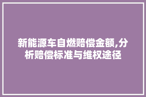新能源车自燃赔偿金额,分析赔偿标准与维权途径