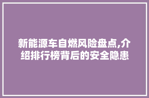 新能源车自燃风险盘点,介绍排行榜背后的安全隐患