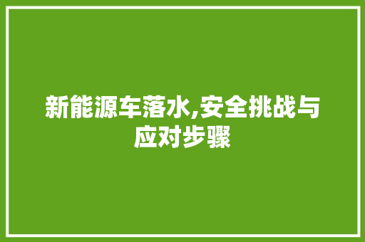 新能源车落水,安全挑战与应对步骤