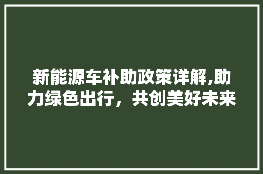 新能源车补助政策详解,助力绿色出行，共创美好未来