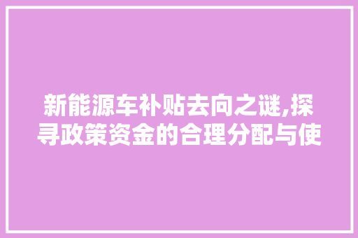新能源车补贴去向之谜,探寻政策资金的合理分配与使用