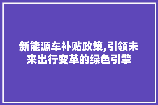 新能源车补贴政策,引领未来出行变革的绿色引擎