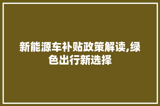 新能源车补贴政策解读,绿色出行新选择