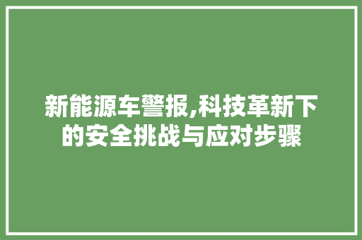 新能源车警报,科技革新下的安全挑战与应对步骤